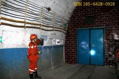 礦用紅外線自動(dòng)風(fēng)門(mén)